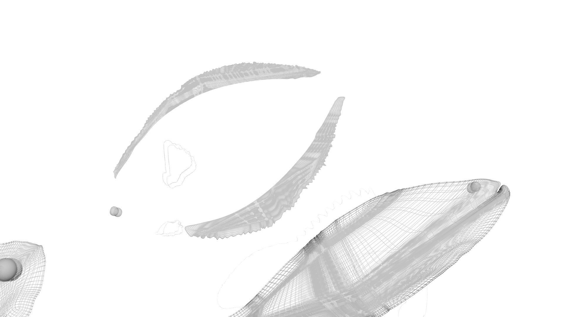 Fishes Set 3D model_37