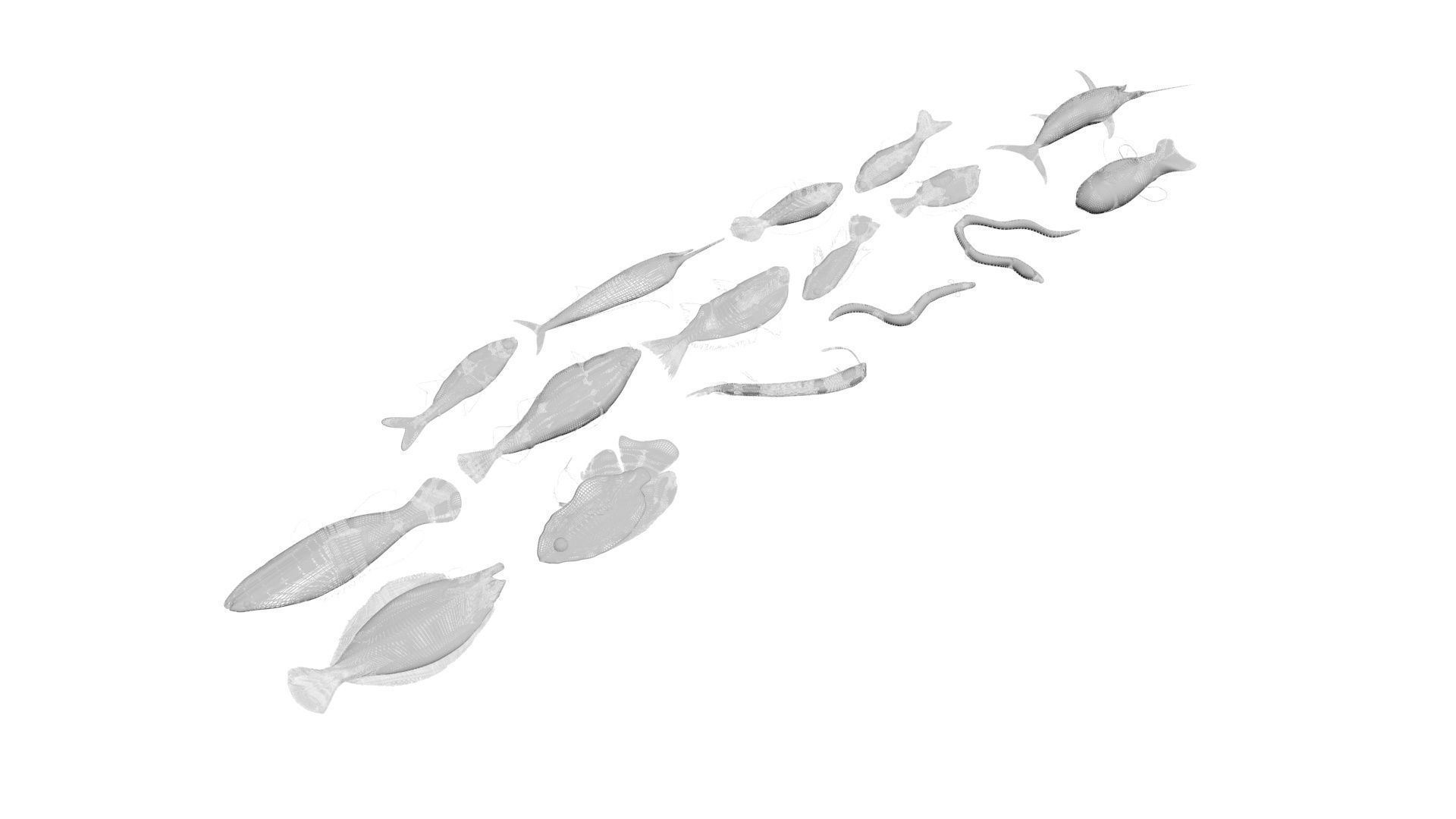 Fishes Set 3D model_30