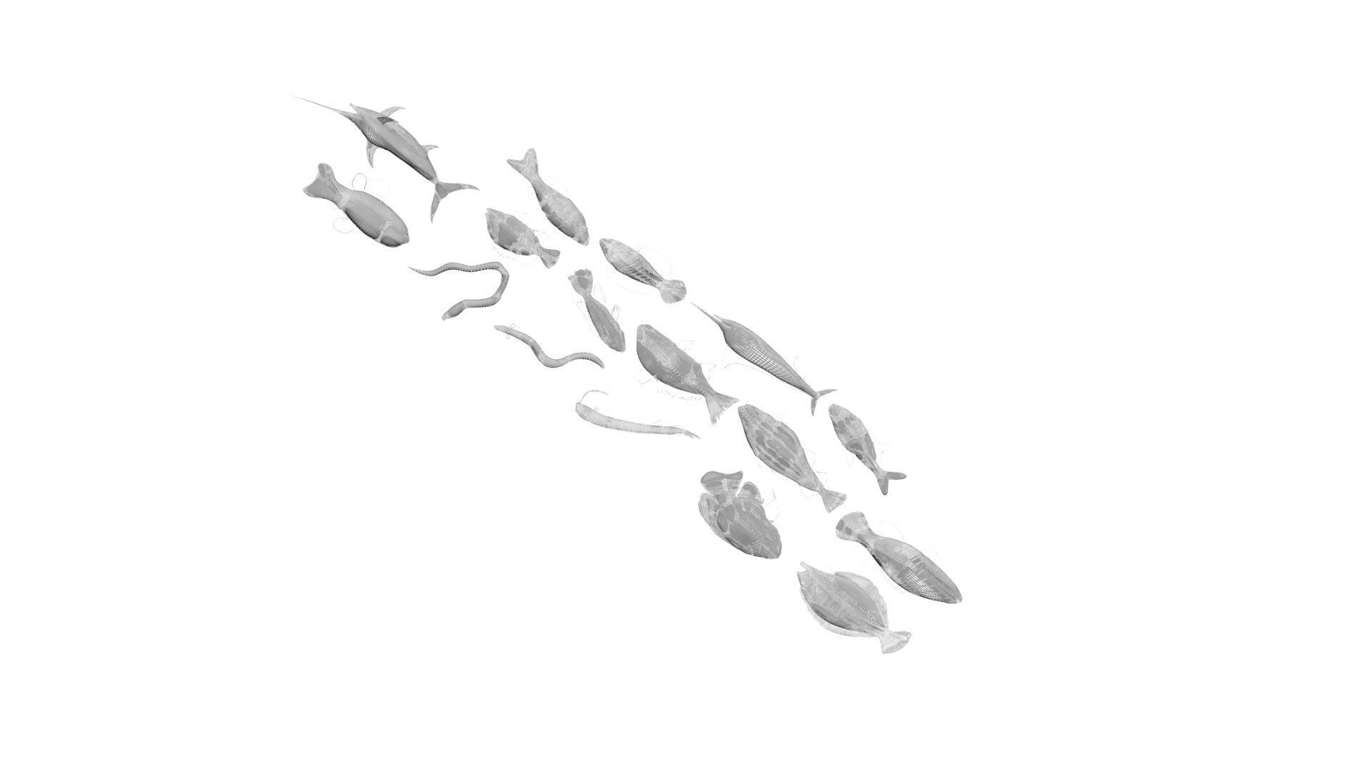 Fishes Set 3D model_32
