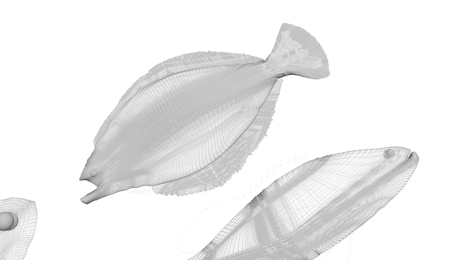 Fishes Set 3D model_36