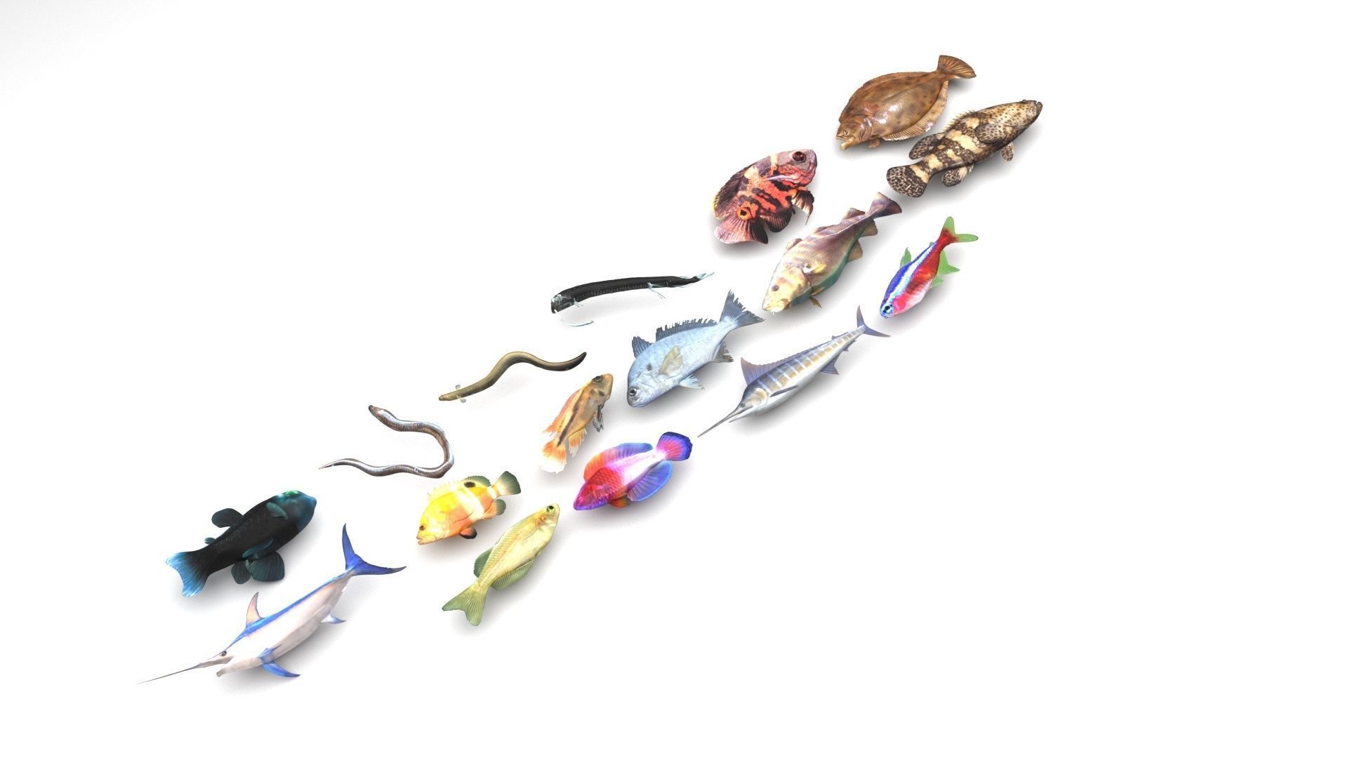 Fishes Set 3D model_18