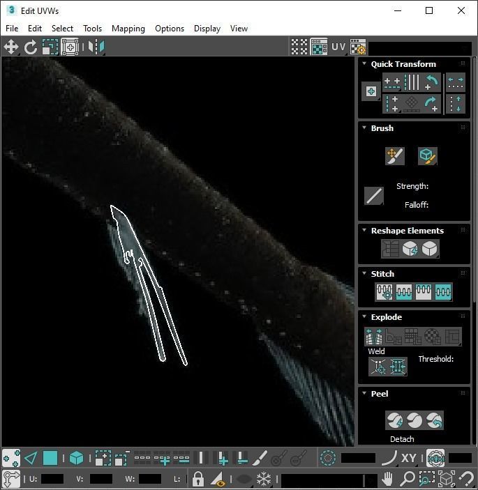 Fishes Set 3D model_58