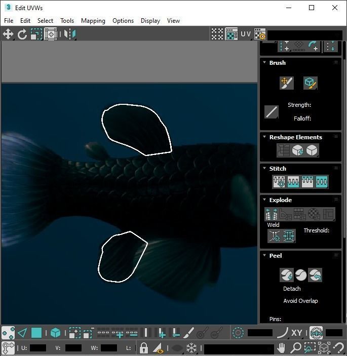 Fishes Set 3D model_54