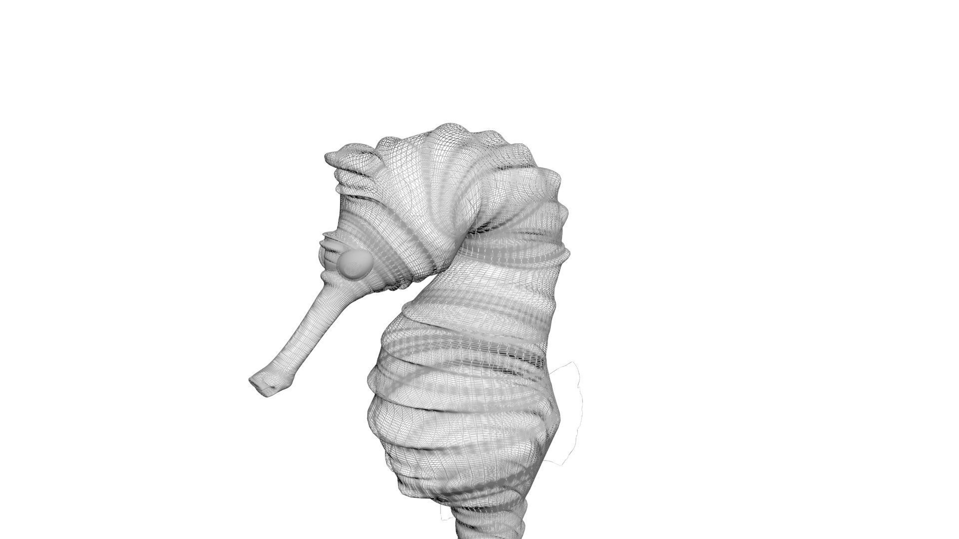 Seahorse 3D model_22