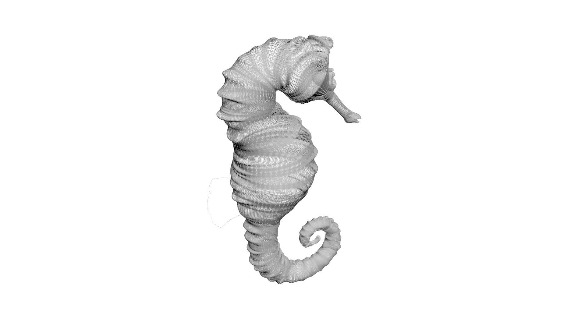 Seahorse 3D model_19