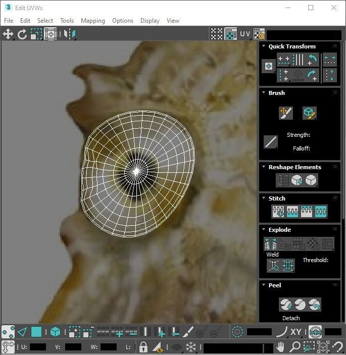 Seahorse 3D model_28