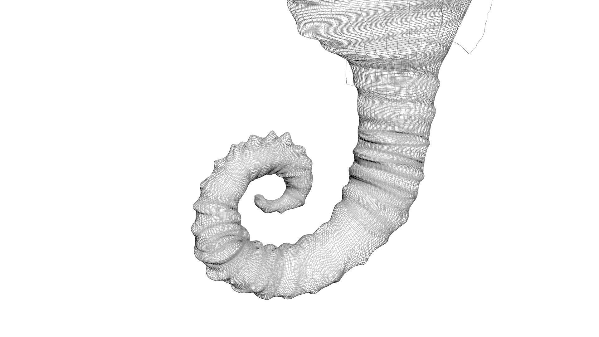 Seahorse 3D model_21