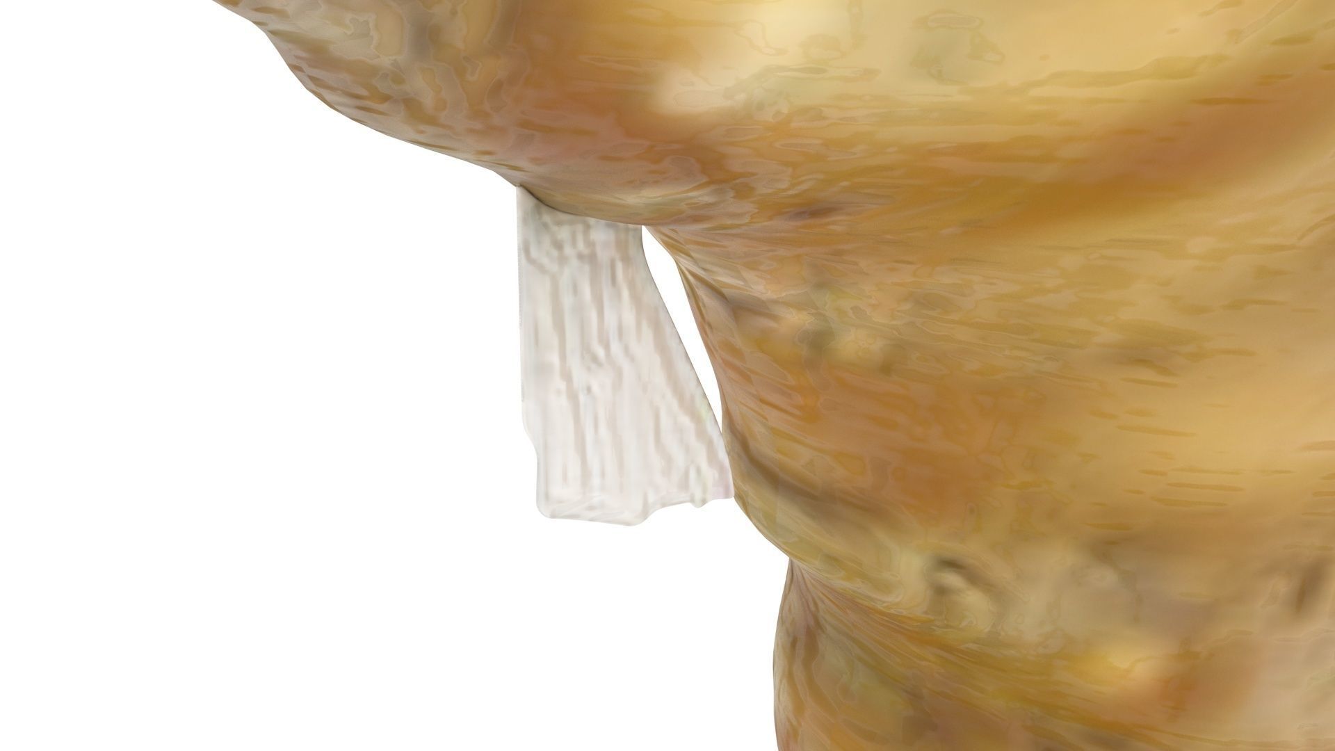 Seahorse 3D model_13