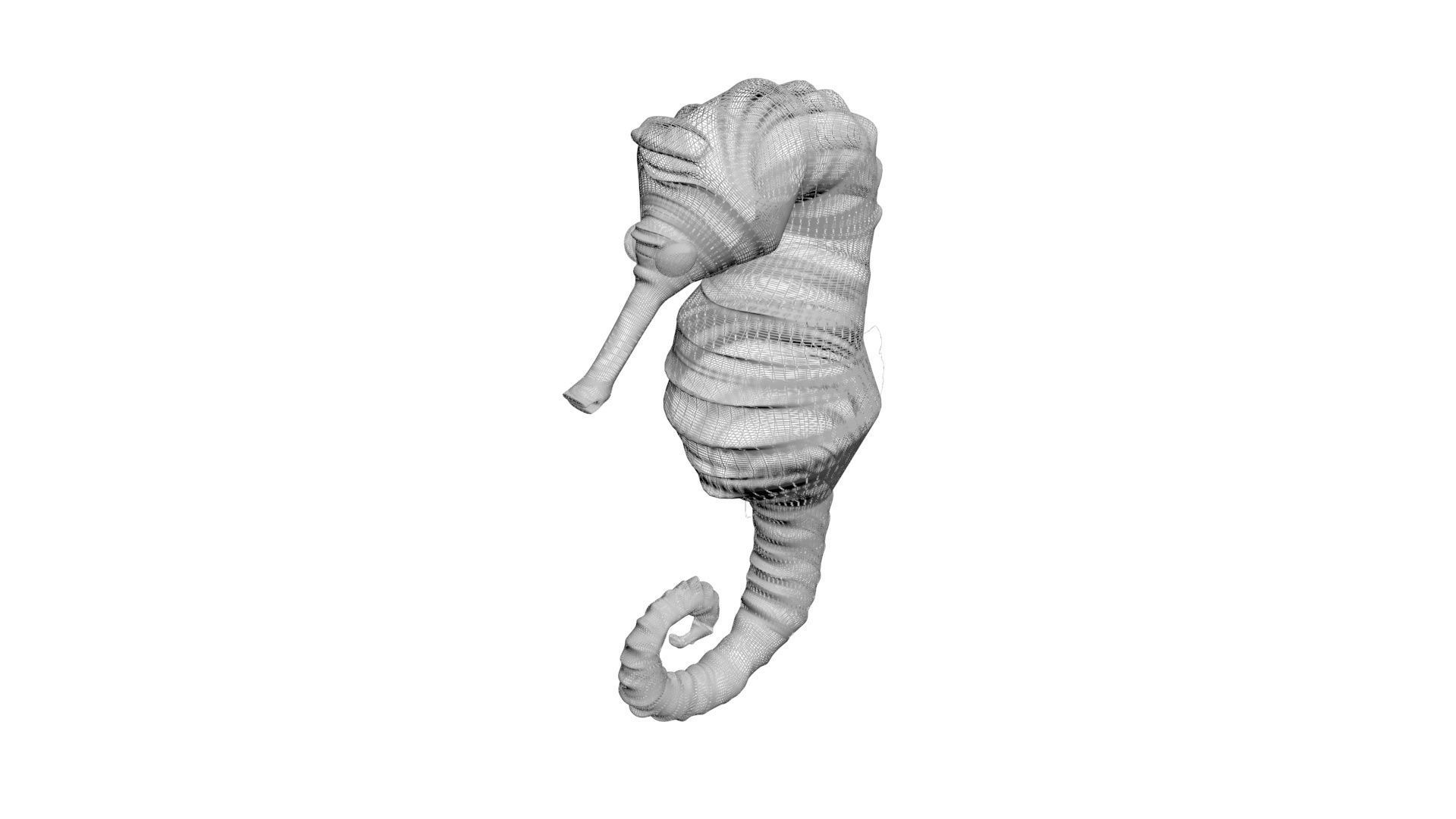 Seahorse 3D model_17