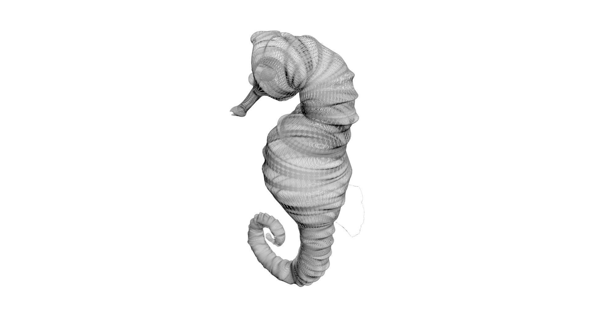 Seahorse 3D model_18