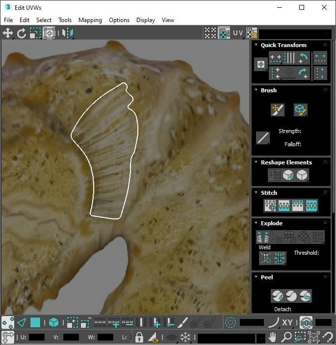 Seahorse 3D model_27