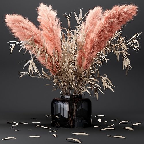  Bouquet dry pampas and Eucalyptus 3D model