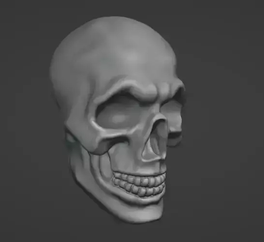 Skull 3D model