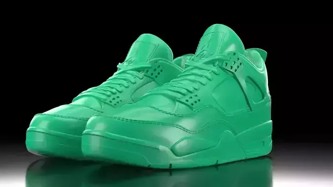 Air Jordan 4 with sole bottom  3D print model