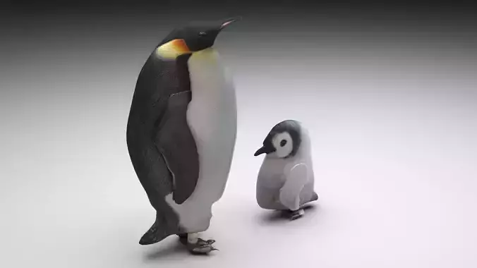 Penguins 3D model