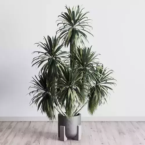palm plant in concrete dirt vase - Indoor plant 275