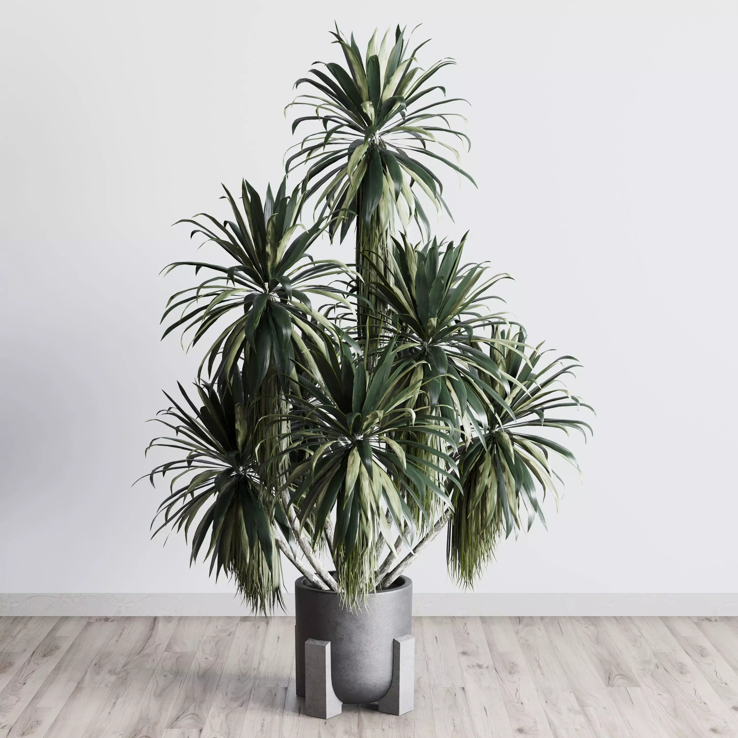 palm plant in concrete dirt vase - Indoor plant 275 3D model