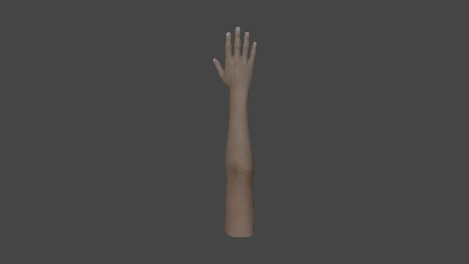 ARMS-001 Rigged right arm Low-poly 3D model_4