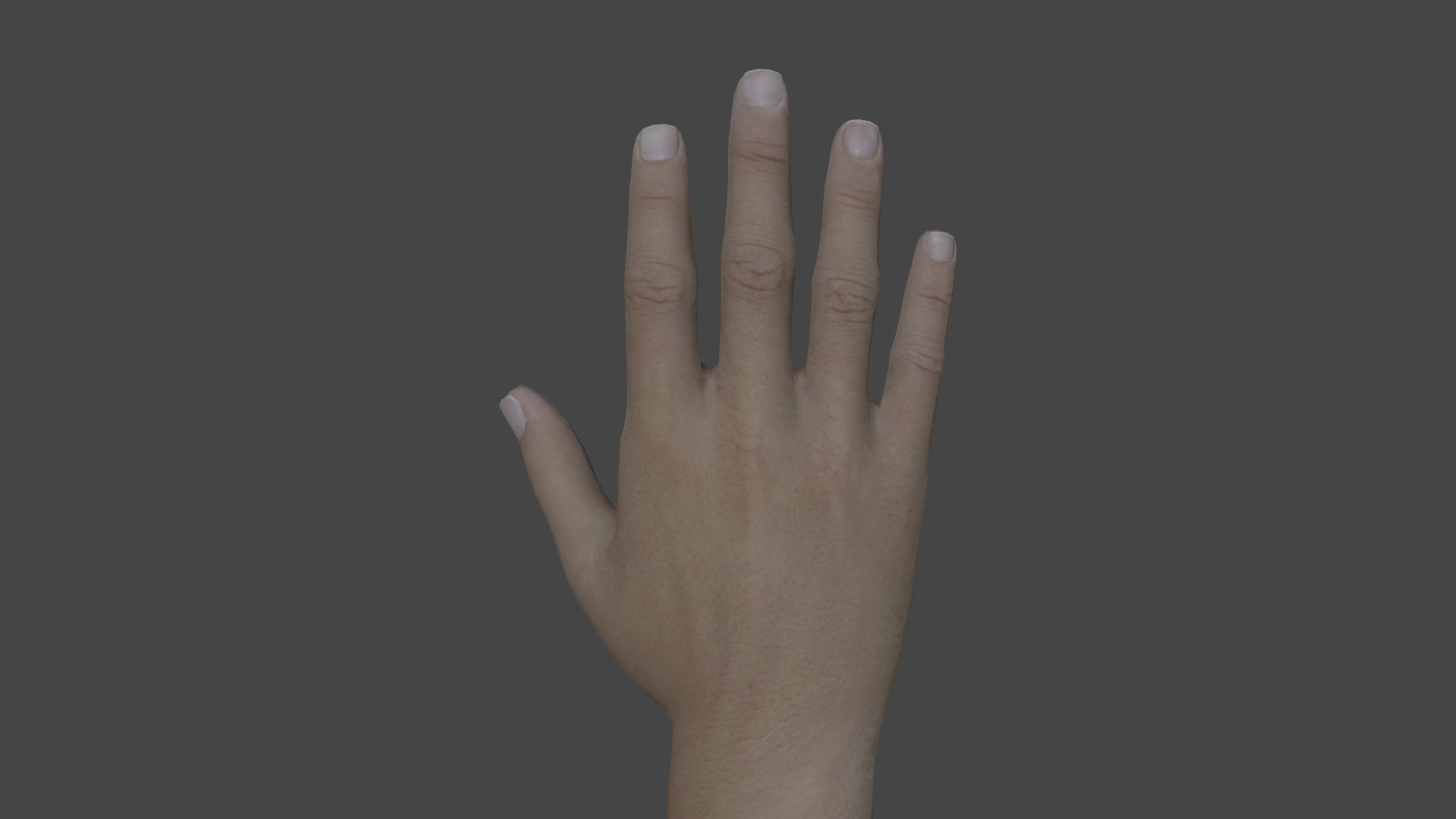 ARMS-001 Rigged right arm Low-poly 3D model_2