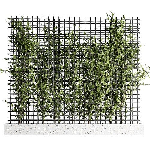 Ivy on Fence 03 3D model