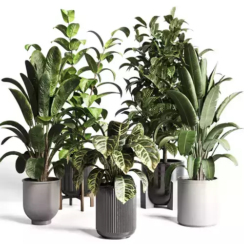 Collection indoor plant 276 pot concrete dirt vase