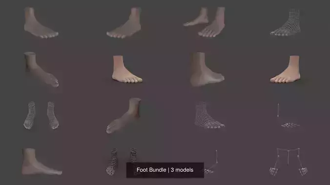 Foot Bundle 3D Model Collection