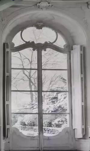 Classic French door and window
