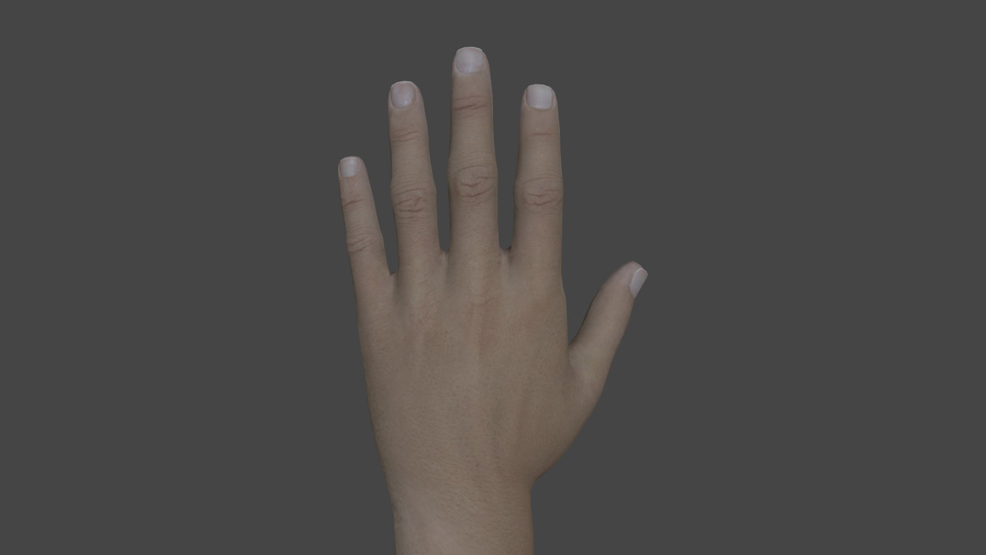 ARMS-002 Rigged left arm Low-poly 3D model_2