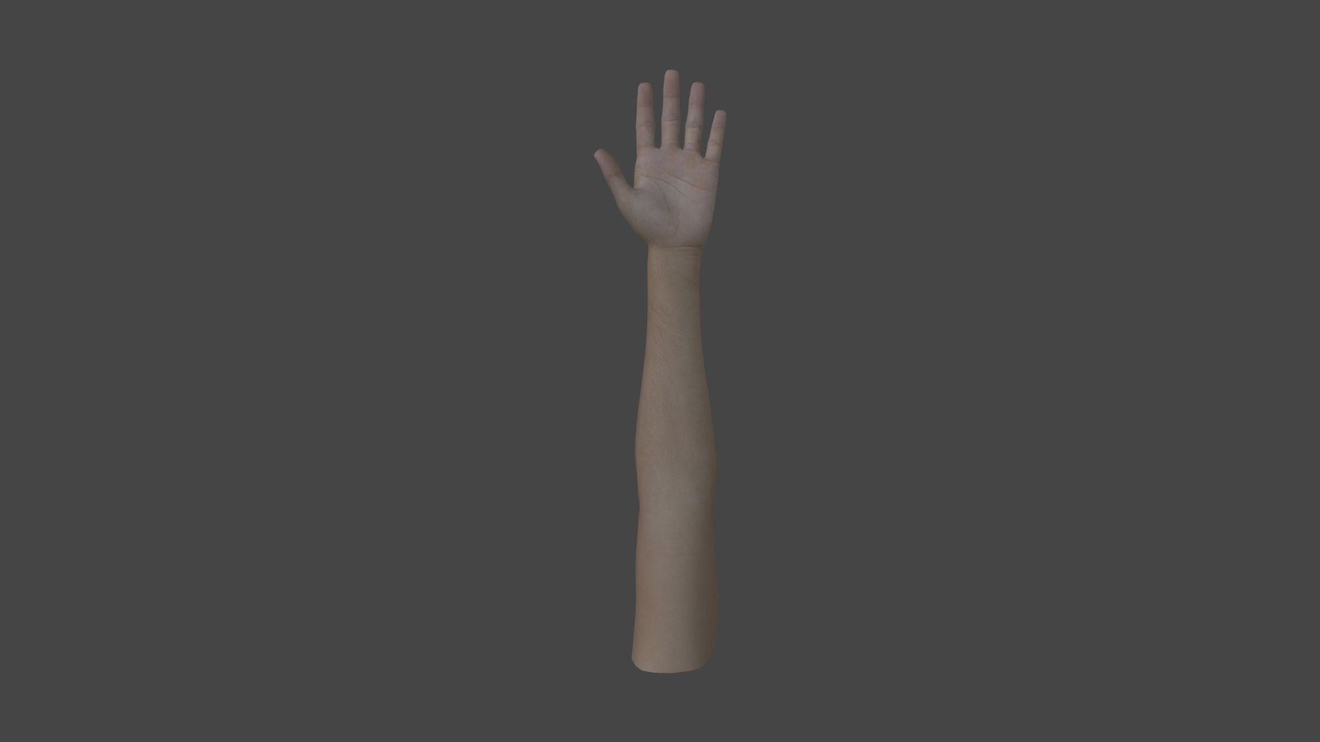 ARMS-002 Rigged left arm Low-poly 3D model_3