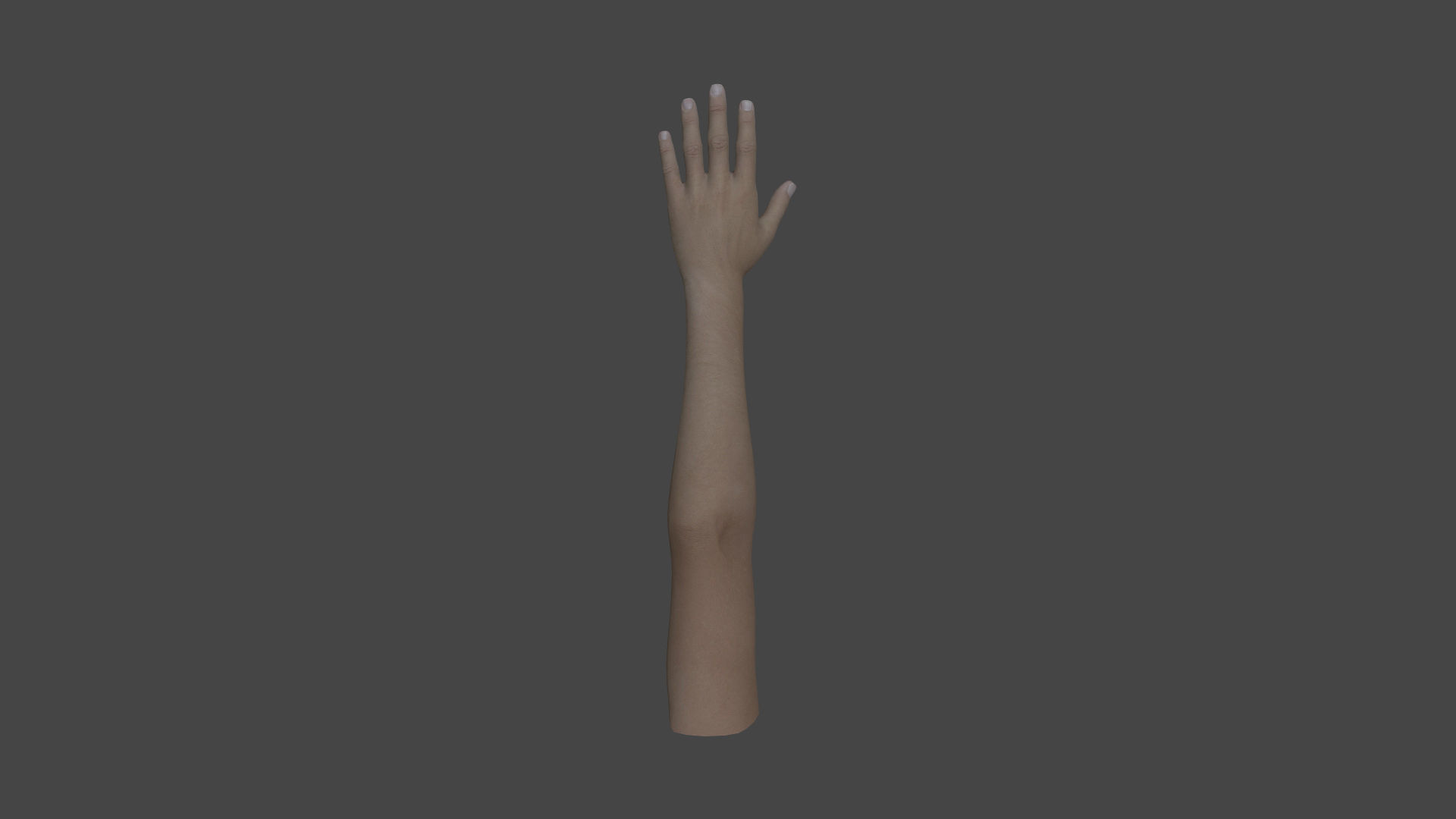 ARMS-002 Rigged left arm Low-poly 3D model_4