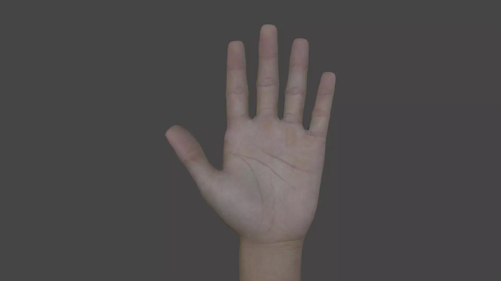 ARMS-002 Rigged left arm Low-poly 3D model_0