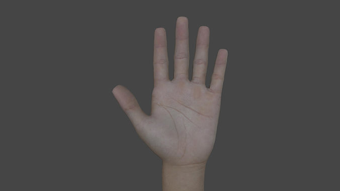 ARMS-002 Rigged left arm Low-poly 3D model