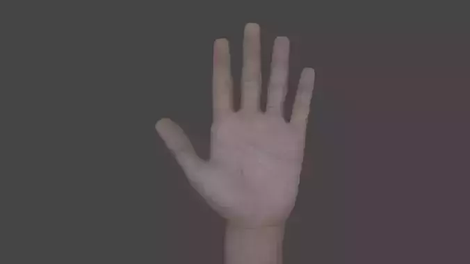 ARMS-002 Rigged left arm Low-poly 3D model