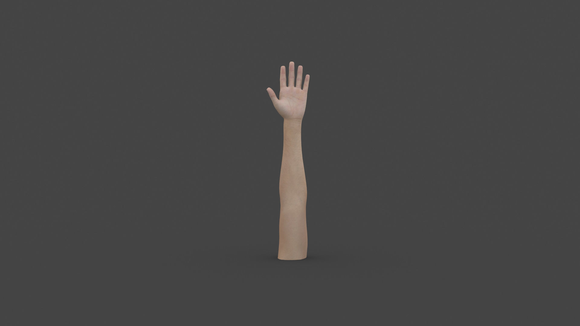 ARMS-002 Rigged left arm Low-poly 3D model_5