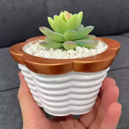 Smooth Geometric Pot mold - 3D print mold 3D print model