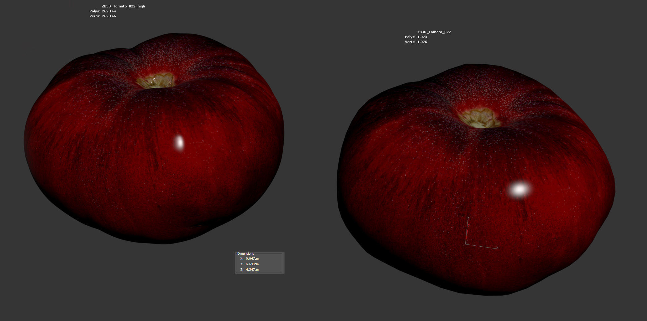 Tomato 3D model_5