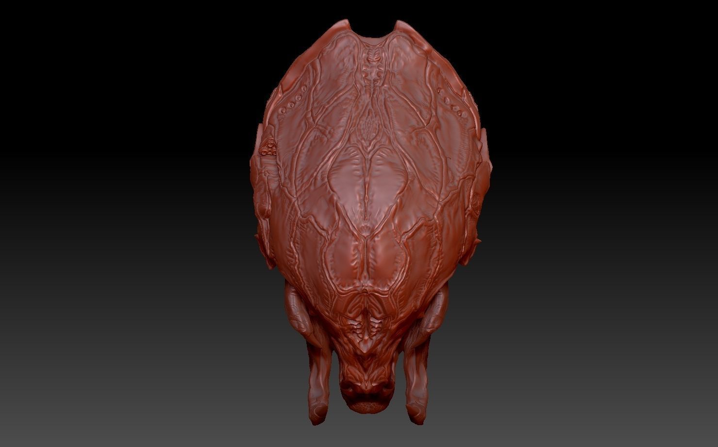 feral Predator PREY helmet and head combo 3D print model_5