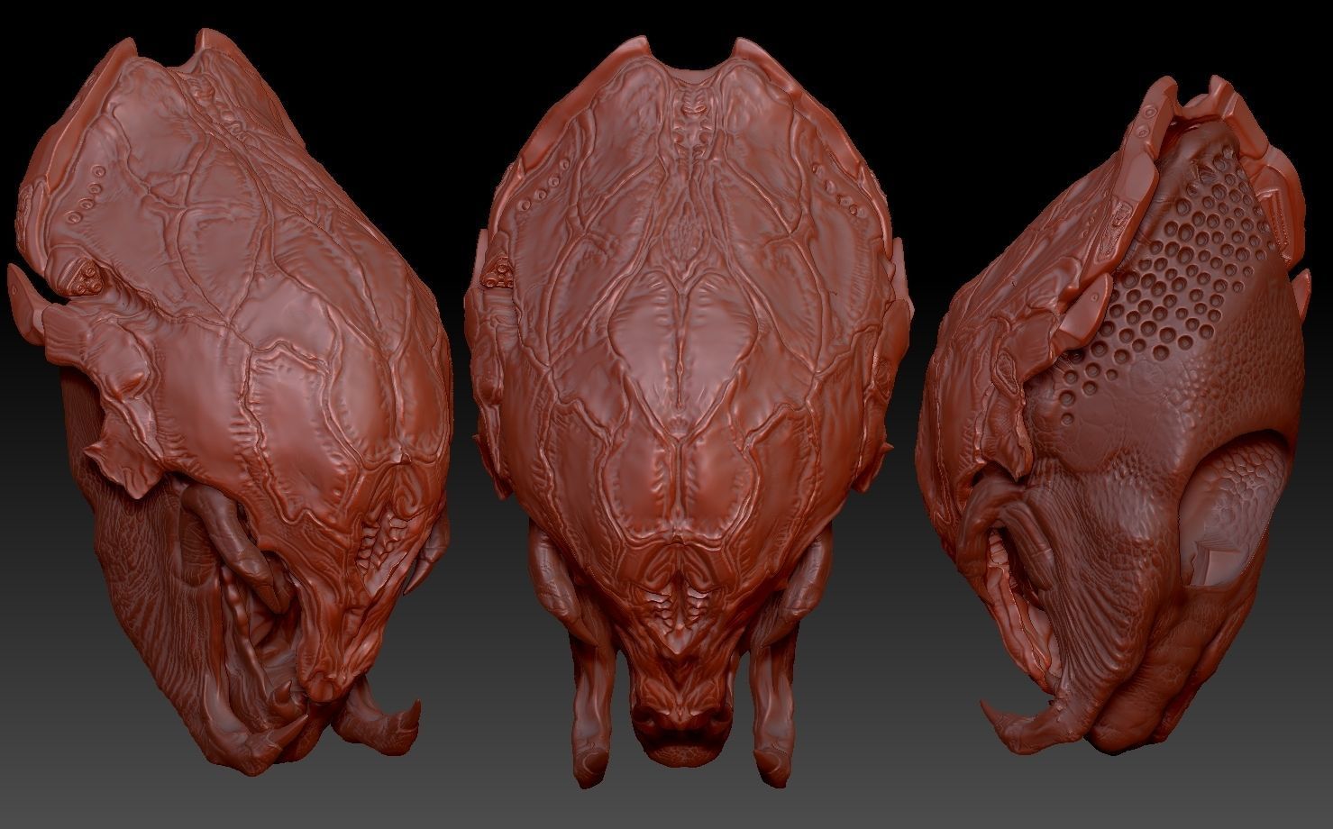 feral Predator PREY helmet and head combo 3D print model_6