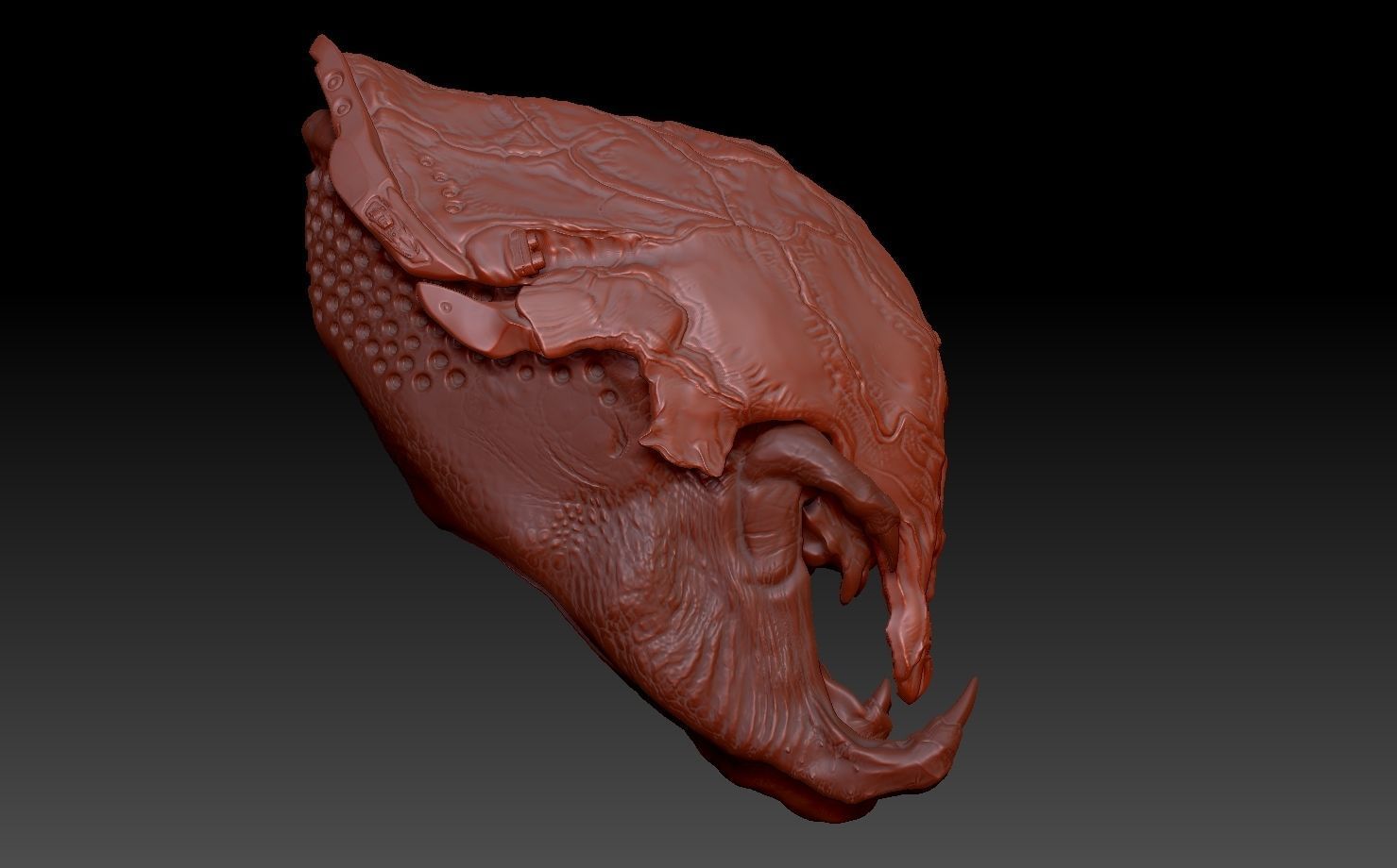 feral Predator PREY helmet and head combo 3D print model_2