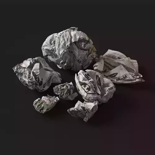 Crumpled Paper 3D model