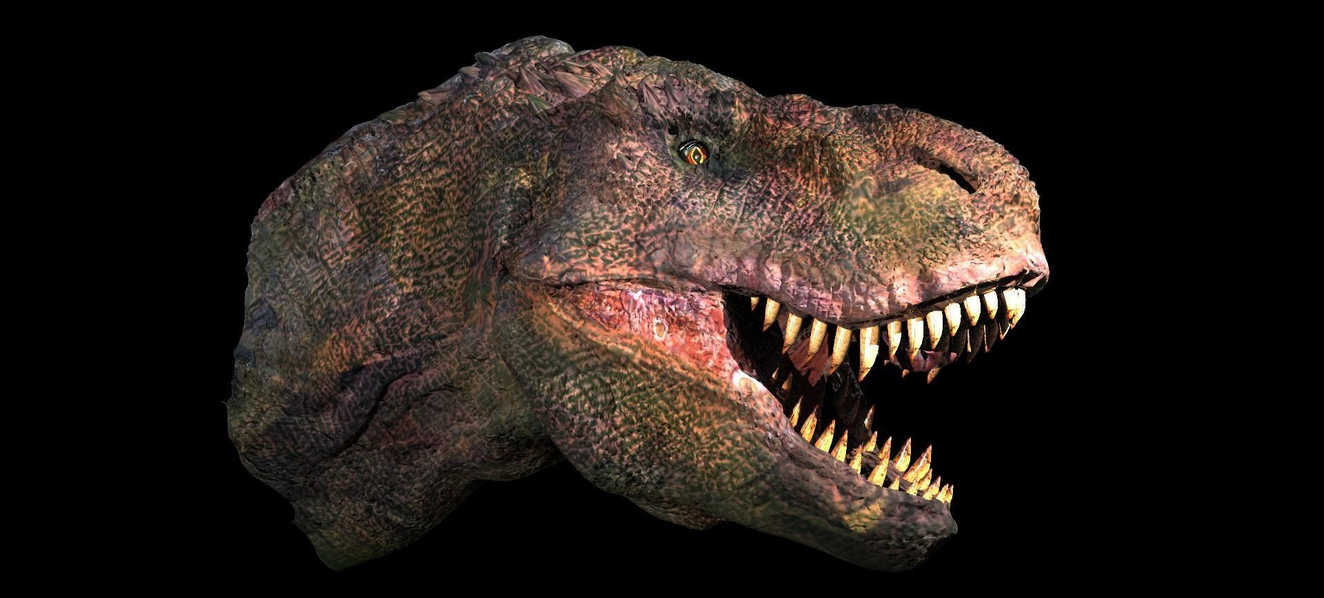 T Rex Head Sculpture 2  3D model_8