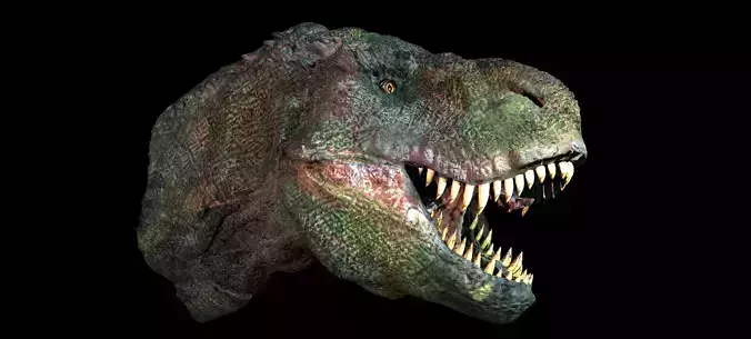 T Rex Head Sculpture 2  3D model