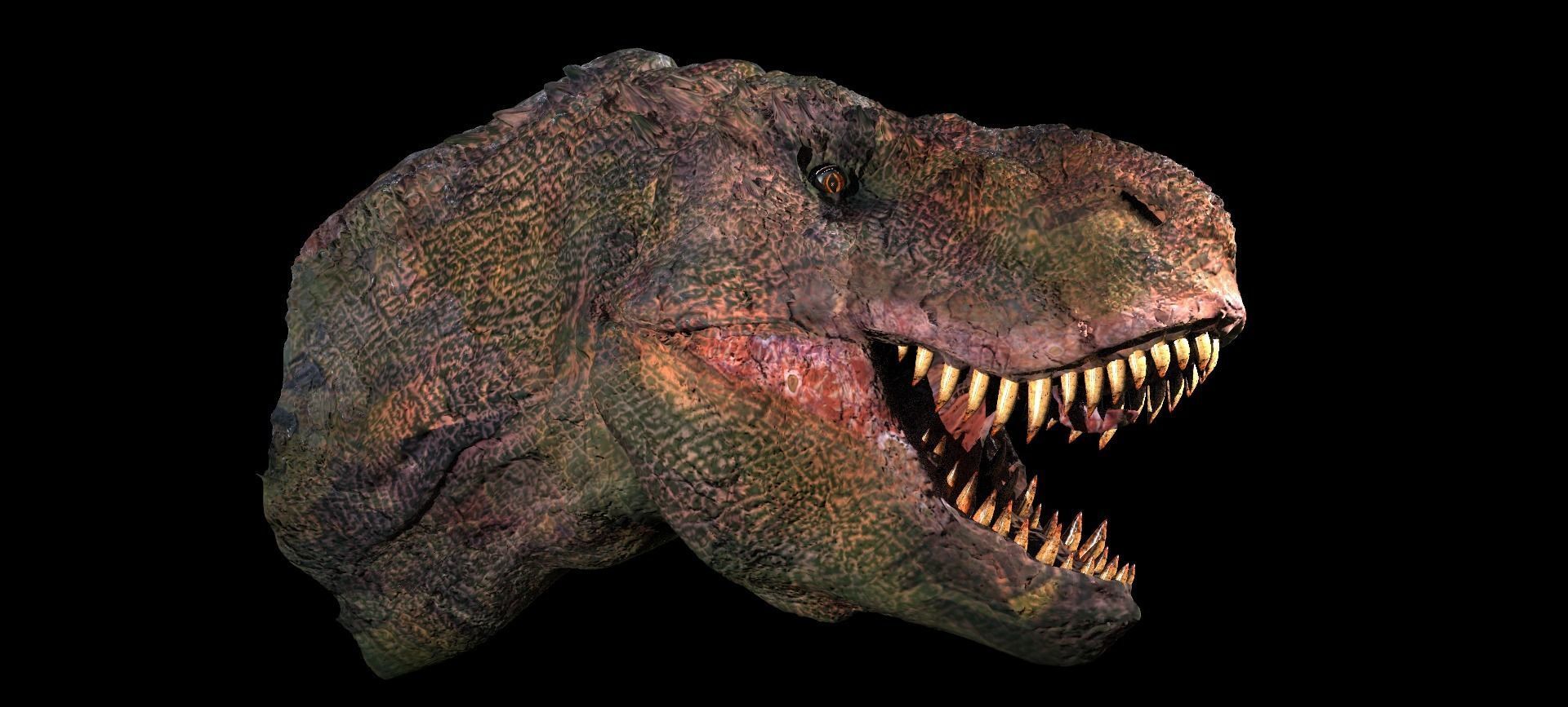 T Rex Head Sculpture 2  3D model_6
