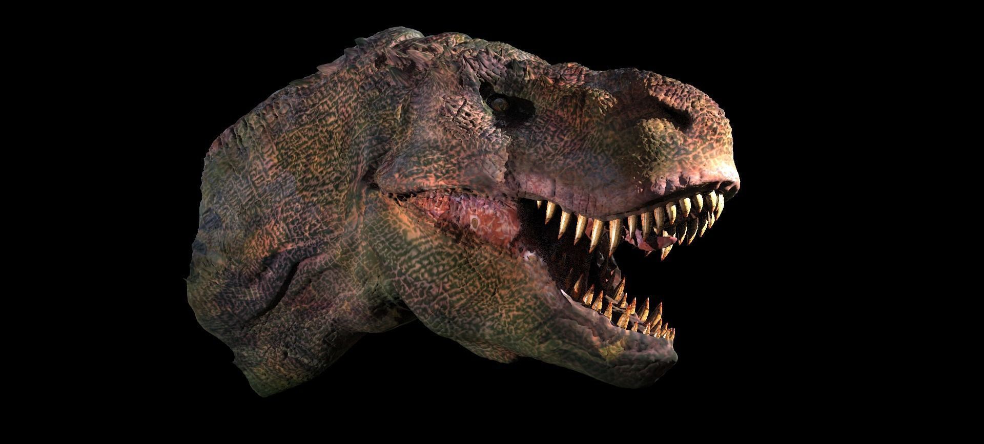 T Rex Head Sculpture 2  3D model_4