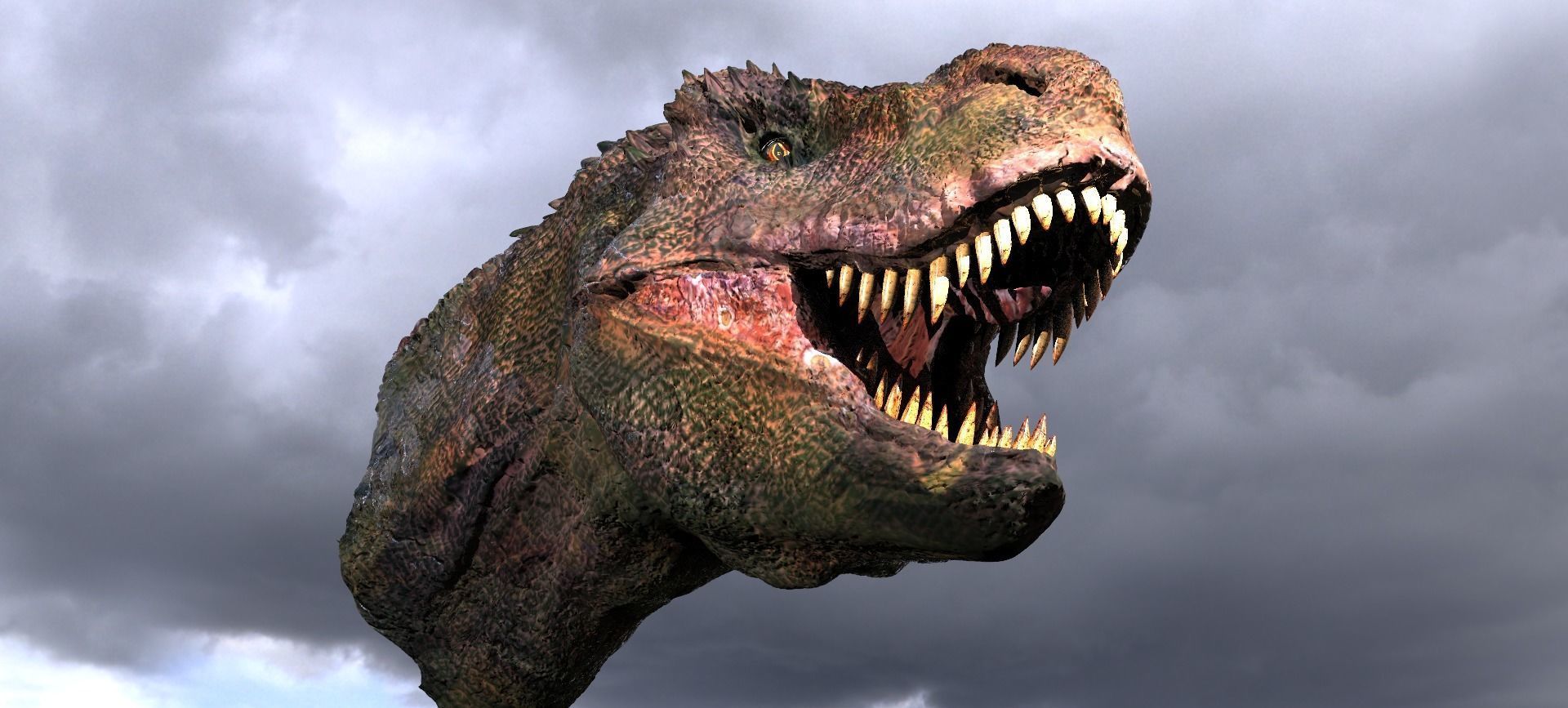 T Rex Head Sculpture 2  3D model_9