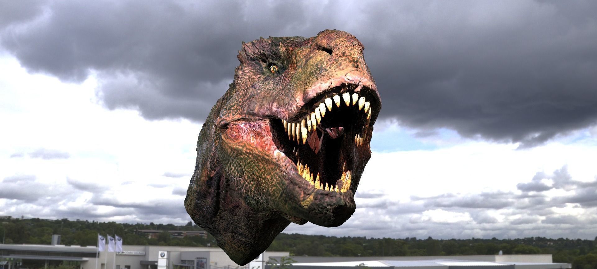 T Rex Head Sculpture 2  3D model_10
