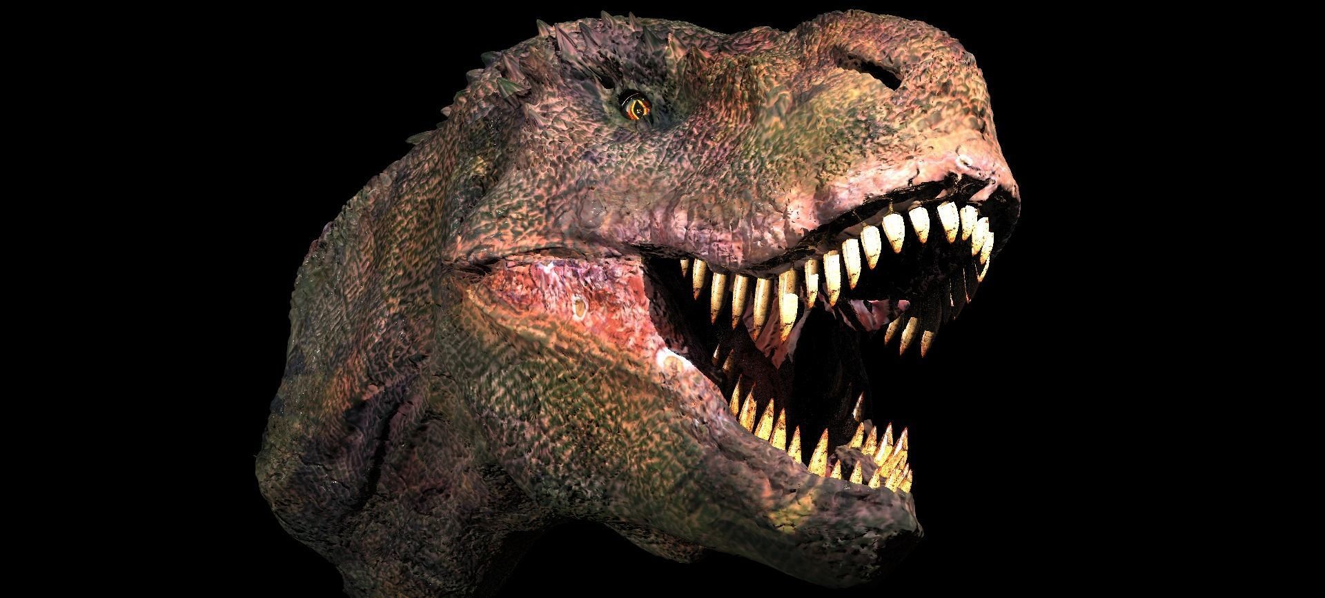 T Rex Head Sculpture 2  3D model_11
