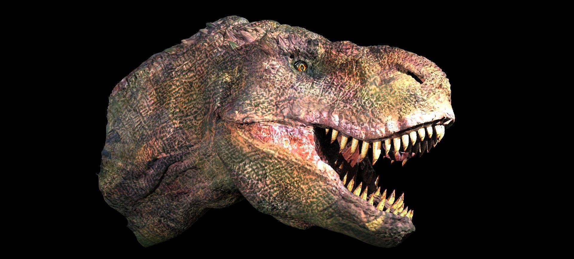 T Rex Head Sculpture 2  3D model_7