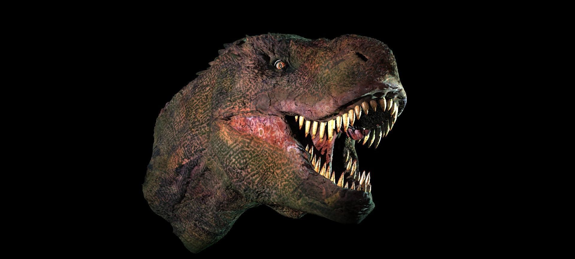 T Rex Head Sculpture 2  3D model_12