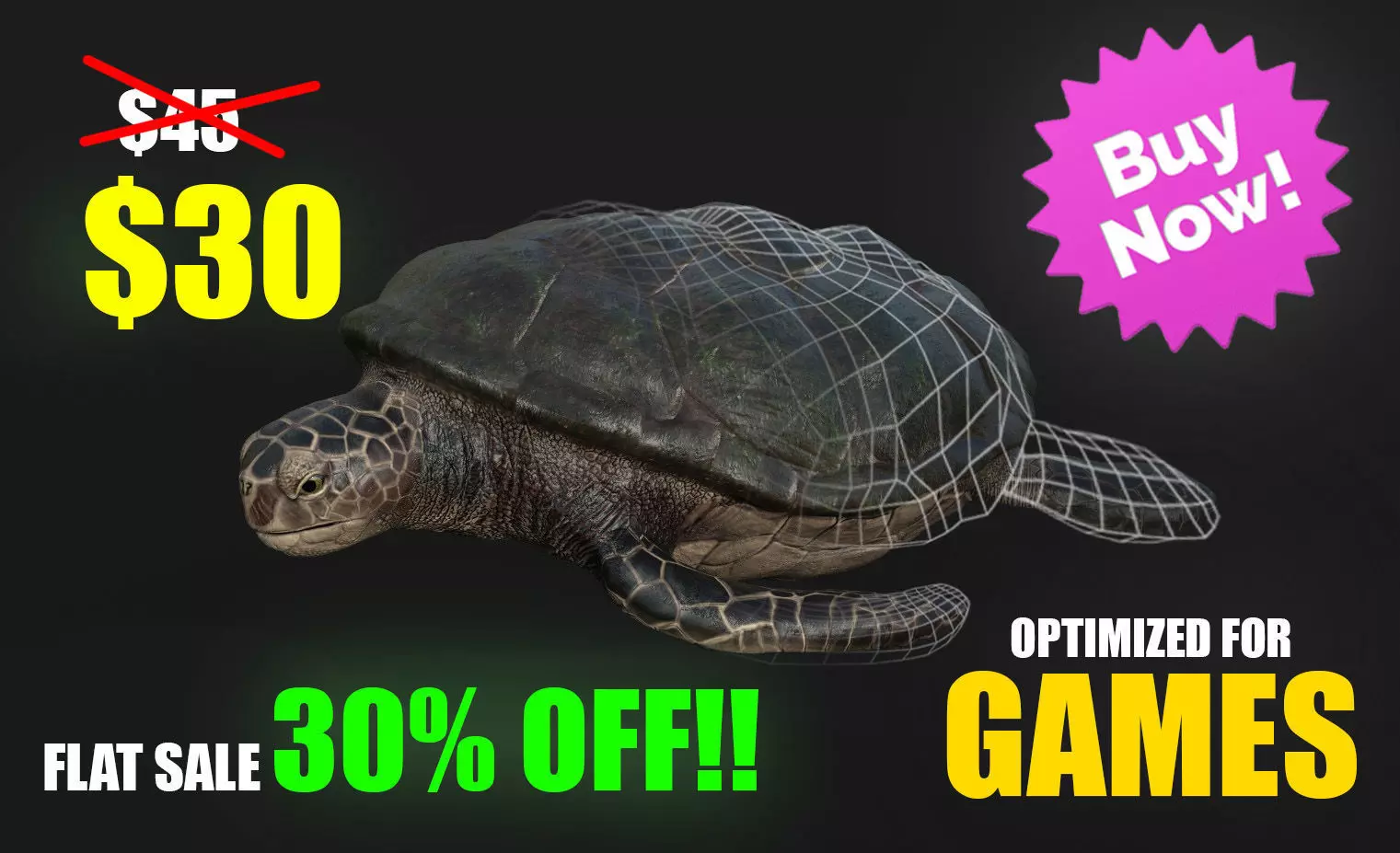 Sea Turtle Game Asset Low-poly 3D model_0